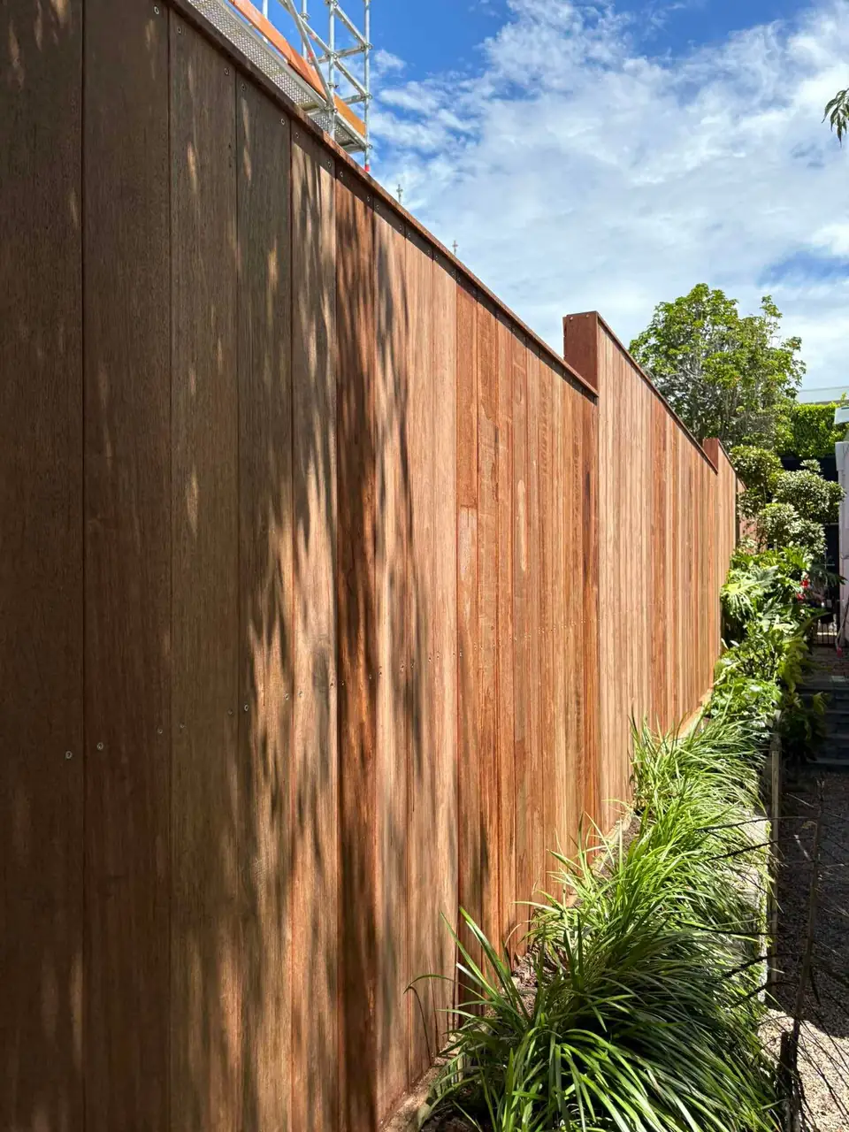 Tall hardwood boundary fence
